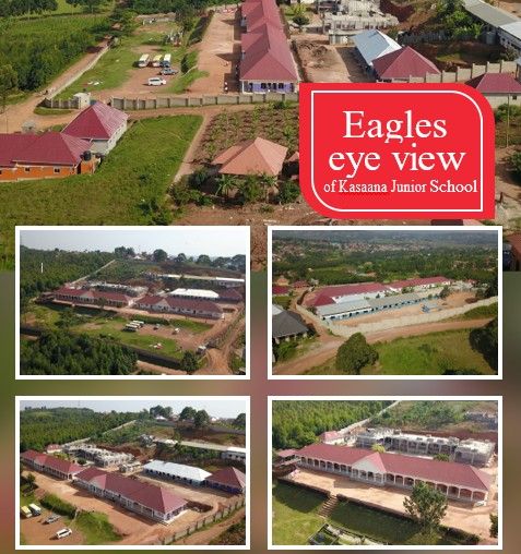 School Aerial View